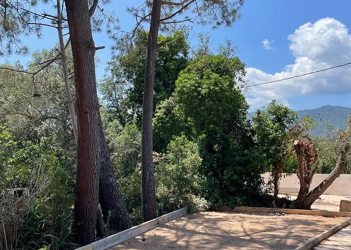 Casa Milo- With Private Pool Porto-vecchio * Porto-Vecchio (Corsica)